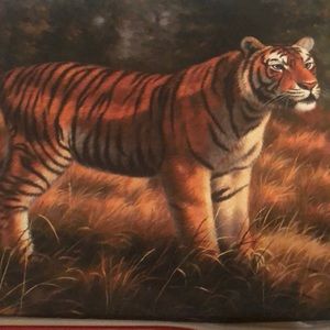 Meet your Posher, Kimber